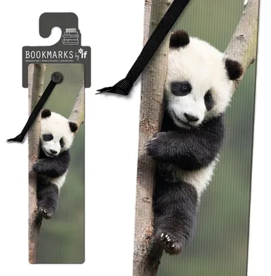 Image de Marque-page Panda 3D avec ruban