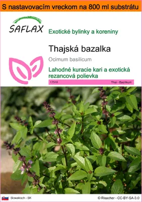 Produktbild von SAFLAX Garden in the bag - Thajská bazalka - Ocimum basilicum - 200 Semená - S pestovateľským substrátom v praktickom samostaviteľnom vrecku