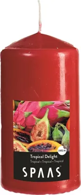 Produktbild von SPAAS Duft-Stumpenkerze 80/150 mm, ± 65 Stunden - Tropical Delight