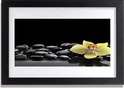Produktbild von Bild 30x20 MDF-Rahmen Wandkunst Black Flower Kitchen