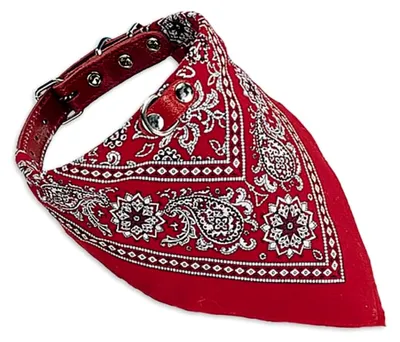 Produktbild von Halsband mit Tuch, rot, 55 cm, 1 Stück