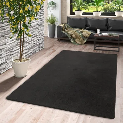 Produktbild von Velours Teppich Joy Schwarz, Größe:300x300 cm