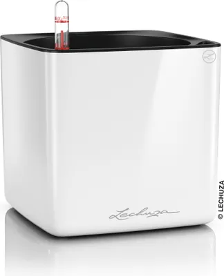 Produktbild von LECHUZA-Tischgefäß CUBE Premium 16 Weiß Highgloss | Pflanzgefäß mit Bewässerung und Pflanzeinsatz | Hochglanz-Oberfläche | 17 x 17 x 16 cm | 13520