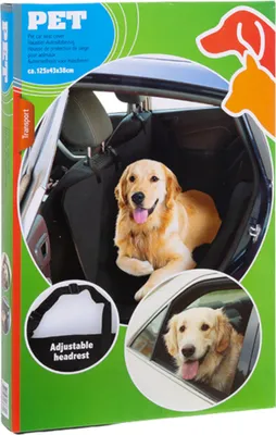 Produktbild von hundespiel 39 x 17 x 5 cm Polypropylen blau/grün