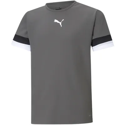 Produktbild von Puma Teamrise Trikot Kurzarm Kinder - Grau
