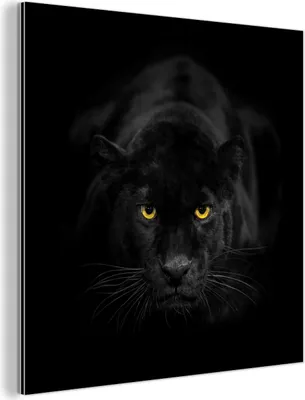 Produktbild von MuchoWow Wanddekoration Metall Metallbild Wandkunst 20x20 cm Panther - Tiere - Schwarz - Augen MuchoWow Aluminium Gemälde - Alu Dibond Bilder