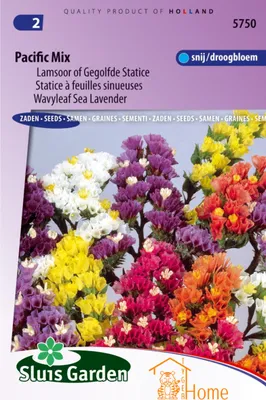 Produktbild von Pacific Mix Samen, Lamsoor oder Gewellter Statice – Pacific Mix Seeds, Wavyleaf Sea Lavender – Pacific Mix Samen, Statice mit gewellten Blättern
