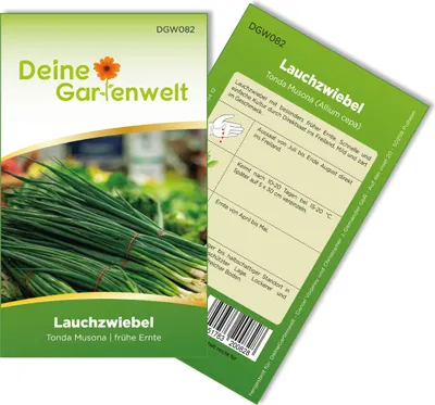 Produktbild von Lauchzwiebeln Tonda musona Samen - Allium cepa - Lauchzwiebelnsamen - Gemüsesamen - Saatgut für 100 Pflanzen