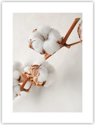 Produktbild von Poster - Poster ohne Rahmen - Baumwolle Makro Zweig - 30x40 cm - Wand Bild - Wanddeko - Wandbilder - Kunstposter - Wandposter - Bilder - Kunstdruck - Wanddekoration - Wandbild - P2XPA30x40-4835
