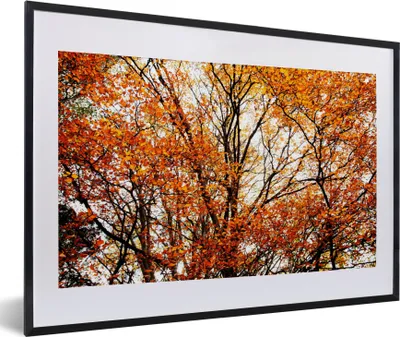 Produktbild von MuchoWow® Gerahmtes Poster Wald - Herbst - Jahreszeiten 60x40 cm - Poster mit Schwarzem Bilderrahmen Wandposter Rahmen Foto Bilder - Schlafzimmer - Plakat in Rahmen - Drucken