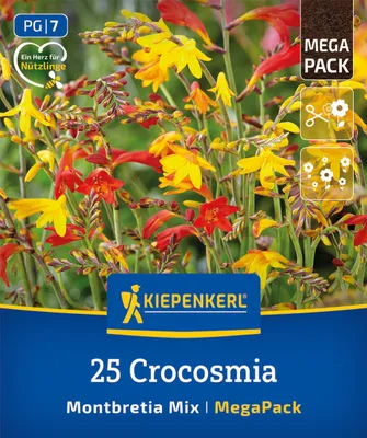 Produktbild von Kiepenkerl Montbretien Mega Pack 25 Pflanzen