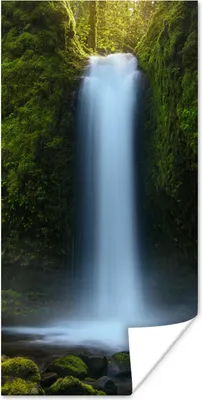 Produktbild von MuchoWow® Poster Dschungel - Wasserfall - Natur 20x40 cm - Plakat - Foto