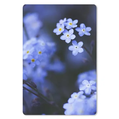 Produktbild von MuchoWow® Mauspad Mousepad Nahaufnahme eines Vergissmeinnicht 18x27 cm - Mousepads - Maus Mat - Pad - Mausunterlage
