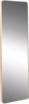 A vertical mirror with a gold-colored frame.
