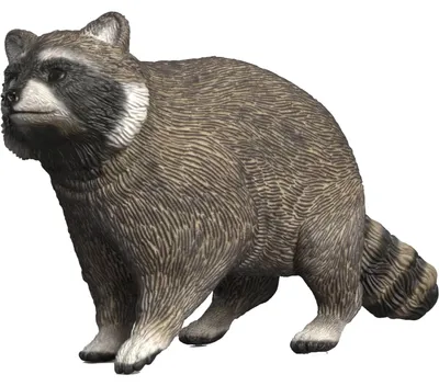 Produktbild von Schleich GmbH Waschbär Sonstige