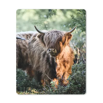 Produktbild von MuchoWow® Mauspad Mousepad Schottische Highlander - Wald - Tiere 30x40 cm - Mousepads - Maus Mat - Pad - Mausunterlage - Mausmatten