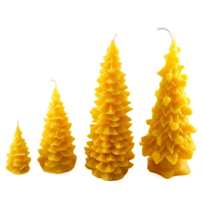 Naturra Tannenkerzen 4er Set aus reinem Bienenwachs handgefertigte Weihnachtskerzen