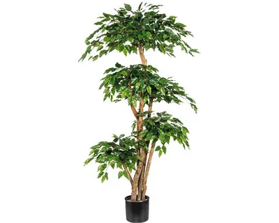 Produktbild von Kunstpflanze Ficus Benjamin Höhe: 170 cm grün