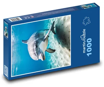 Produktbild von Puzzle 1000 Delfin unter der Meeresoberfläche - martinpuzzle