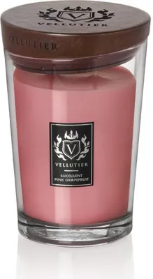 Zdjęcie produktu dla Succulent Pink Grapefruit Vellutier 515 G