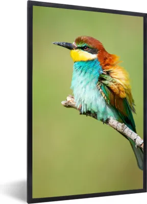 Produktbild von MuchoWow® Gerahmtes Poster Vogel - Tiere - Bienenfresser 60x90 cm - Poster mit Schwarzem Bilderrahmen Wandposter Rahmen Foto Bilder - Kunst
