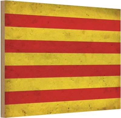 Produktbild von vianmo Holzschild 20x30 cm Seneyera Fahne Ctalan Flagge Wappen