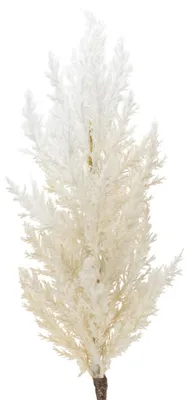 Produktbild von Pampasgras Weiß Künstliche Trockengräser Kunstpflanzen Deko Kunstblumen Vase