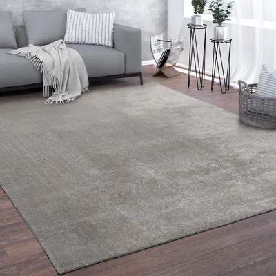 Produktbild von Waschbarer Teppich Wohnzimmer Kurzflor Einfarbiger Moderner Stil Weich Grau Grösse 120x160 cm