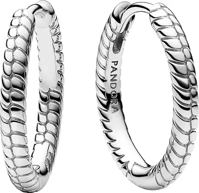 A pair of silver hoop earrings with a textured, scale-like design.