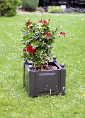Produktbild von KHW Pflanzkasten, quadratisch, Abmessungen 43x43xH37 cm, aus hochwertigem Kunststoff, stabil, UV-/wetterbeständig. Farbe: Anthrazit.