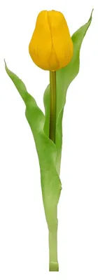 Produktbild von Kunstpflanze Tulpe - H 31 cm - Grün - Gelb - Kunststoff