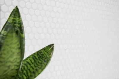 Produktbild von Handmuster Knopfmosaik LOOP Rundmosaik weiß matt Wand Küche Dusche BAD MOS10-0111_m