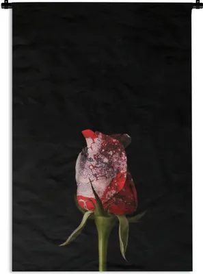 Produktbild von MuchoWow® Wandteppich Wandbehang Rose - Schwarz - Pilz 120x180 cm Tapisserie Dekoration Wandtuch - Schlafzimmer - Dekorationen für das Haus