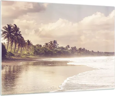 Produktbild von Bilder auf glas - Einteilig - Palmen Strand Wasser - 100x70cm - Glasbilder - Wandbilder - Bilder - zum Aufhängen bereit - Wanddekoration aus Glas - Glas Bilder - Wandbild auf Glas - GAA100x70-4917