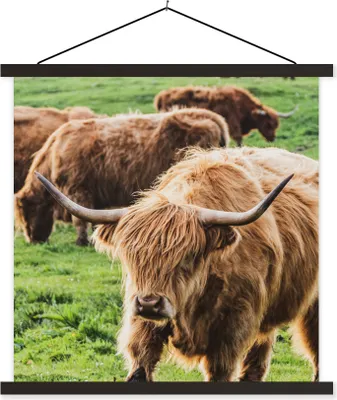Produktbild von MuchoWow® Textilposter Schottisches Hochlandrind - Kühe - Tiere 40x40 cm mit schwarzem Rahmen - Fotos