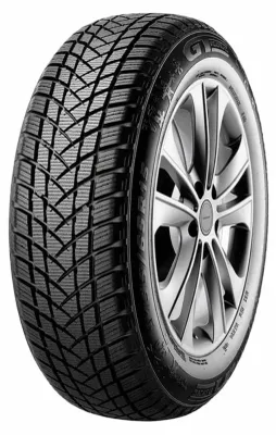 Immagine prodotto di Gt-Radial Winterpro2 205/55R16 91T