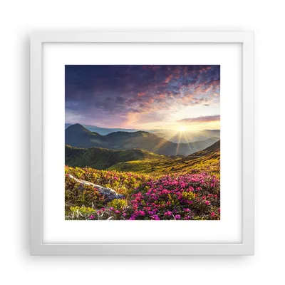 Produktbild von Gerahmtes Poster - Weißer Rahmen - Gebirge Wiese Landschaft Wald - 30x30 cm - Wand Bild - Wanddeko - Wandbilder - Wandposter - Bilderrahmen - Bilder - Kunstdruck - Wandbild - P2WAC30x30-3152