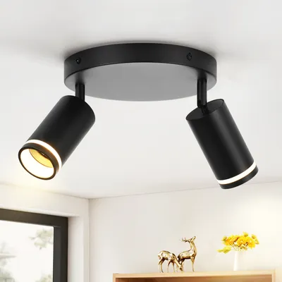 Image de ZMH LED Spot de plafond 2 flammes noir GU10 orientable Spot mural métal couloir salon cuisine chambre à coucher Sans ampoule