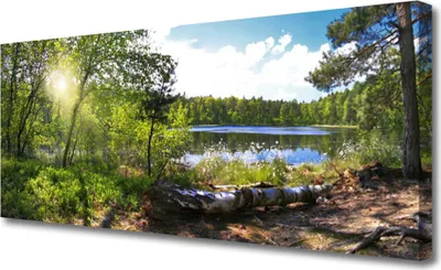 Produktbild von Tulup Leinwand-Bilder 125x50 Wandbild Canvas Kunstdruck Wald See Natur