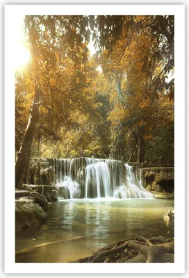 Produktbild von Poster - Poster ohne Rahmen - Park Wasserfall Wasser - 61x91,5 cm - Wand Bild - Wanddeko - Wandbilder - Kunstposter - Wandposter - Bilder - Kunstdruck - Wanddekoration - Wandbild - P2XPA61x91-3789