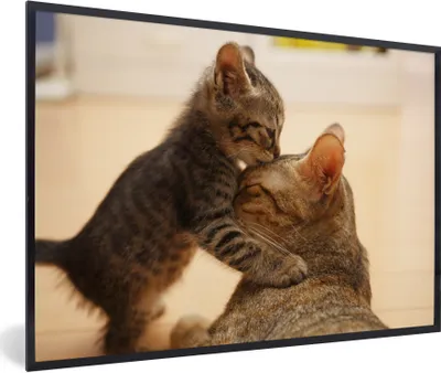 Produktbild von MuchoWow® Gerahmtes Poster Ein Kätzchen mit seiner Mutter 90x60 cm - Poster mit Schwarzem Bilderrahmen Wandposter Rahmen Foto Bilder - Fotorahmen - Foto-Plakat
