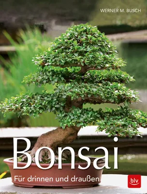 Produktbild von Bonsai