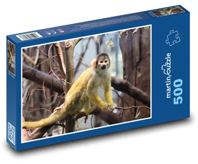 Obrázek produktu pro Puzzle 500 Opice v přírodě - martinpuzzle