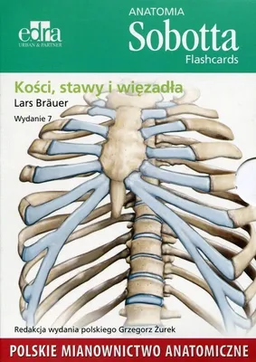 Produktbild von Anatomia Sobotta Flashcards Kosci stawy i wiezadla