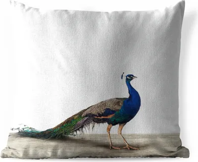 Produktbild von MuchoWow® Outdoor Kissen - Pfau - Federn - Vogel - Kinder - Jungen - Mädchen - 50x50 cm - Wetterfest - Lounge Kissen - Komfortabel - Kissen mit Bild