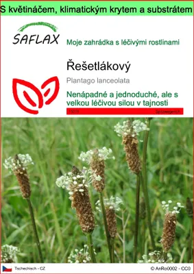Obrázek produktu pro SAFLAX Garden to go - řešetlákový - Plantago lanceolata - 100 Semena - S květináčem, klimatickou poklicí a pěstebním substrátem