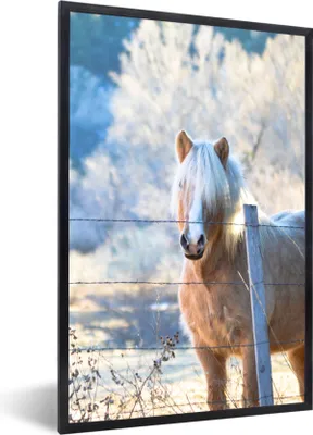 Produktbild von MuchoWow® Gerahmtes Poster Pferd - Winter - Schnee 60x90 cm - Poster mit Schwarzem Bilderrahmen Wandposter Rahmen Foto Bilder - Kunst