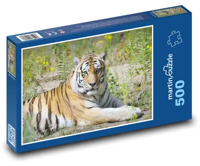 Zdjęcie produktu dla martinpuzzle - Puzzle 500 elementów - Tygrys