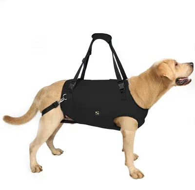 Image de Harnais de soutien pour chiens âgés ou handicapés - Harnais de rééducation - Bretelles réglables et rembourrées - Respirant - Adapté aux chiens âgés ou handicapés - Taille XL - Harnais pour chien
