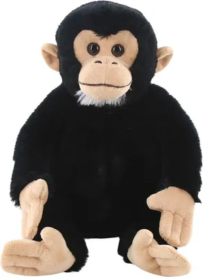 Image de Chimpanzé assis, 27 cm